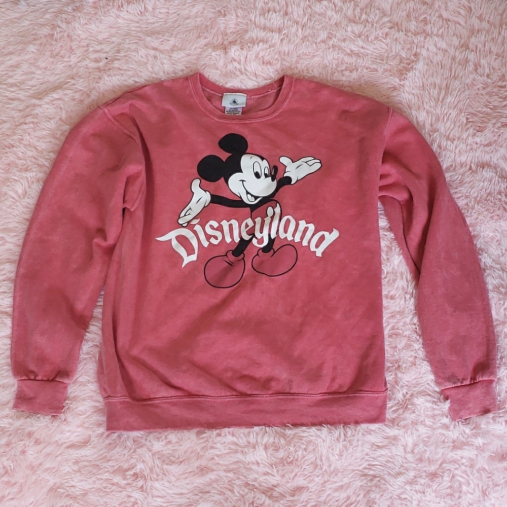 DISNEYLAND SWEATER